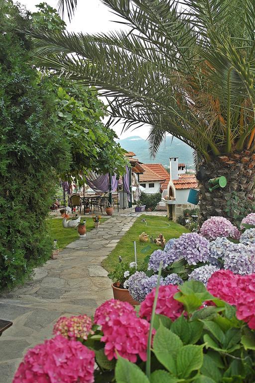 Studios Ifigenia Skala Potamia  Exterior photo